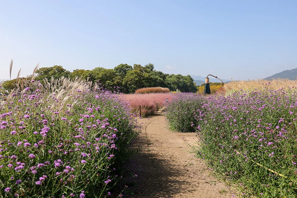 1._%EC%B2%A8%EC%84%B1%EB%8C%80%EA%BD%83%EB%B0%AD_%285%29.jpg?type=w1200