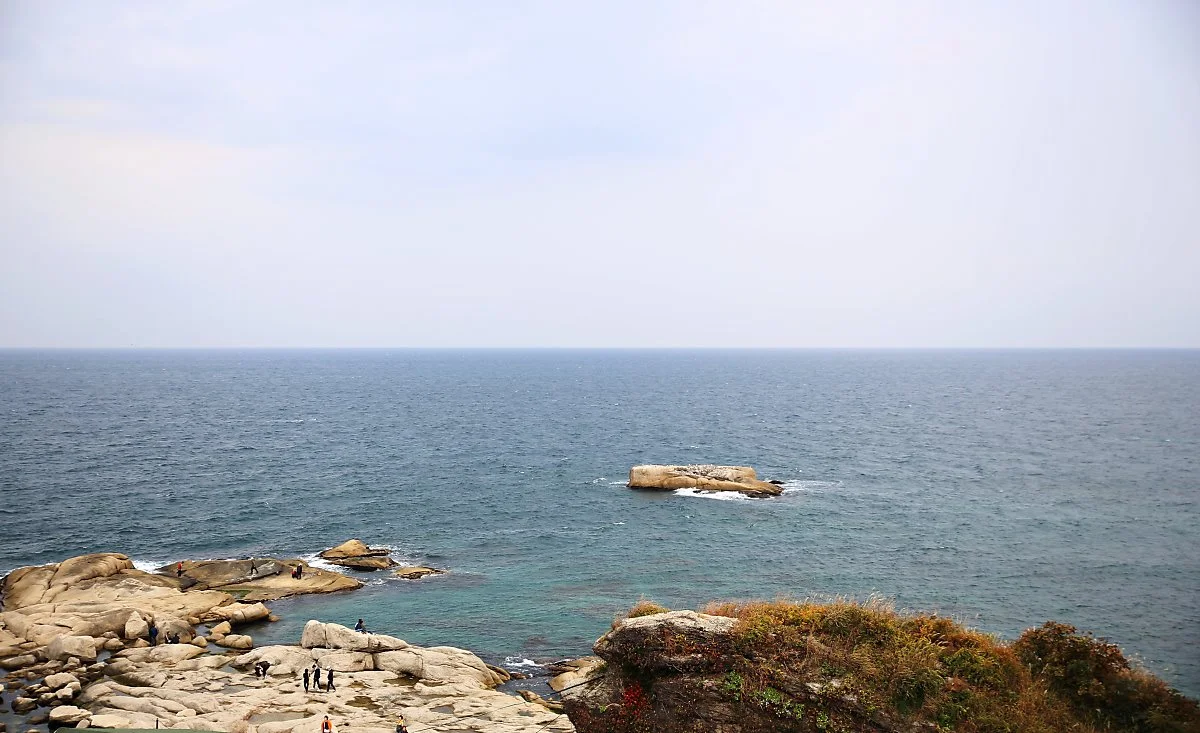 %EC%A0%84%EB%A7%9D_%281%29.JPG?type=w1200