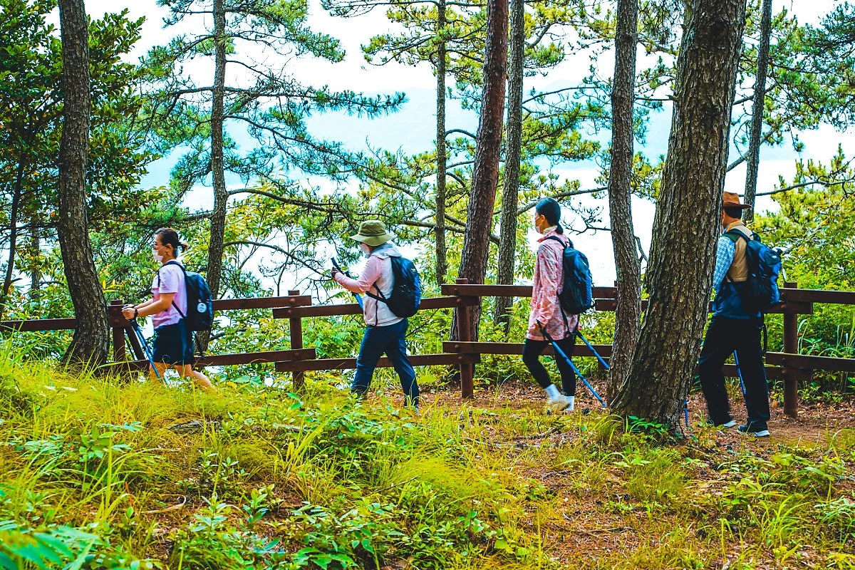 %ED%95%B4%EC%96%91%EC%B9%98%EC%9C%A0%EA%B8%B8.jpg?type=w1200