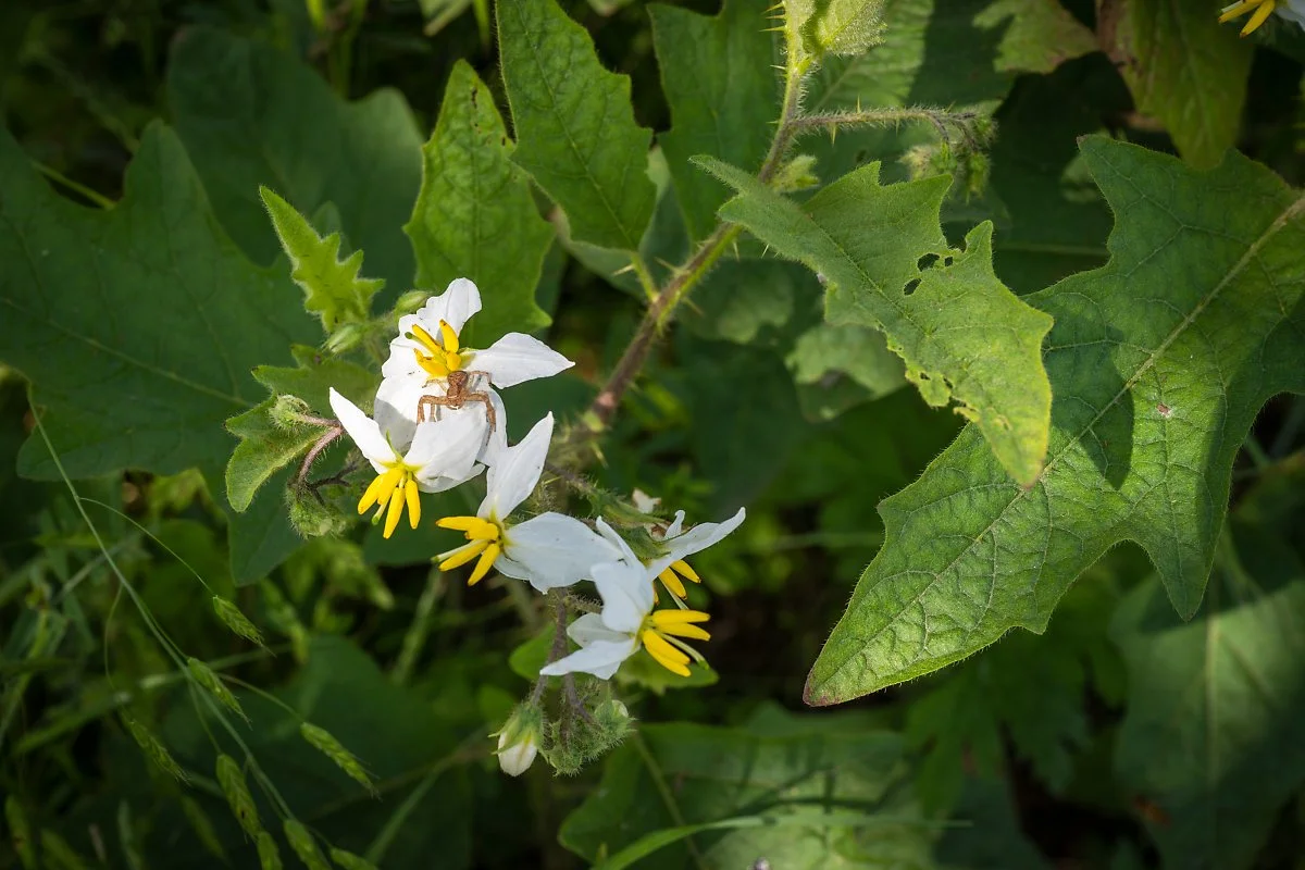 %EA%B9%80%EC%A0%9C%EB%B2%BD%EA%B3%A8%EC%A0%9C%EC%83%9D%ED%83%9C%EB%86%8D%EA%B2%BD%EC%9B%90_%2816%29.jpg?type=w1200