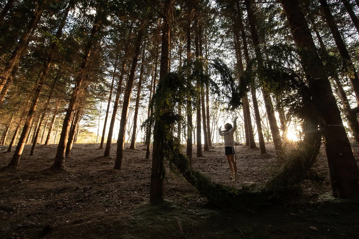 5._%EC%9A%A9%ED%8F%89%EB%A6%AC%EC%A1%B0%ED%8A%B8_%EB%B0%9C%EC%99%95%EC%82%B0_%282%29.jpg?type=w1200