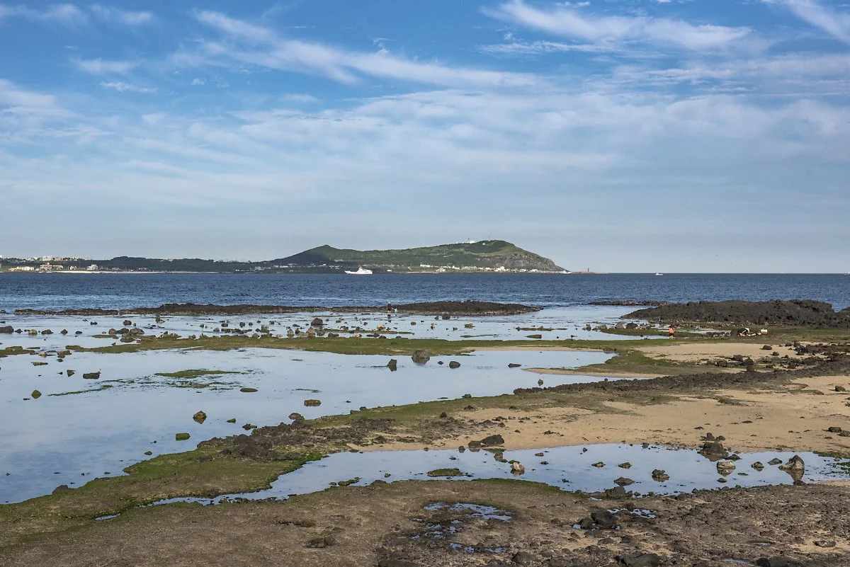 %EC%A2%85%EB%8B%AC%EC%84%B8%ED%99%94%ED%95%B4%EC%95%88%EB%8F%84%EB%A1%9C_%282%29.jpg?type=w1200