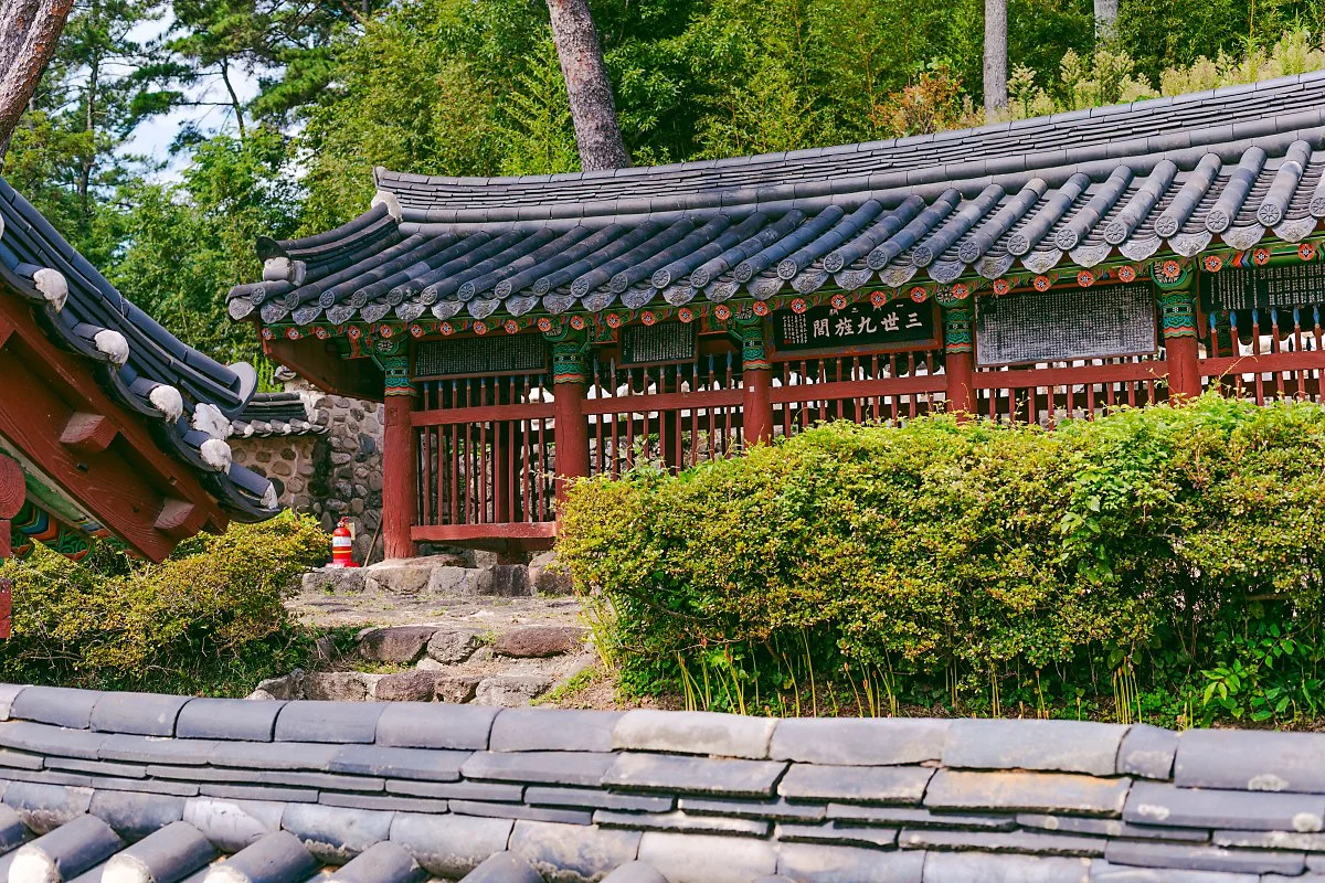 d_%EC%96%91%EC%94%A8%EC%82%BC%EA%B0%95%EB%AC%B8_2.jpg?type=w1200