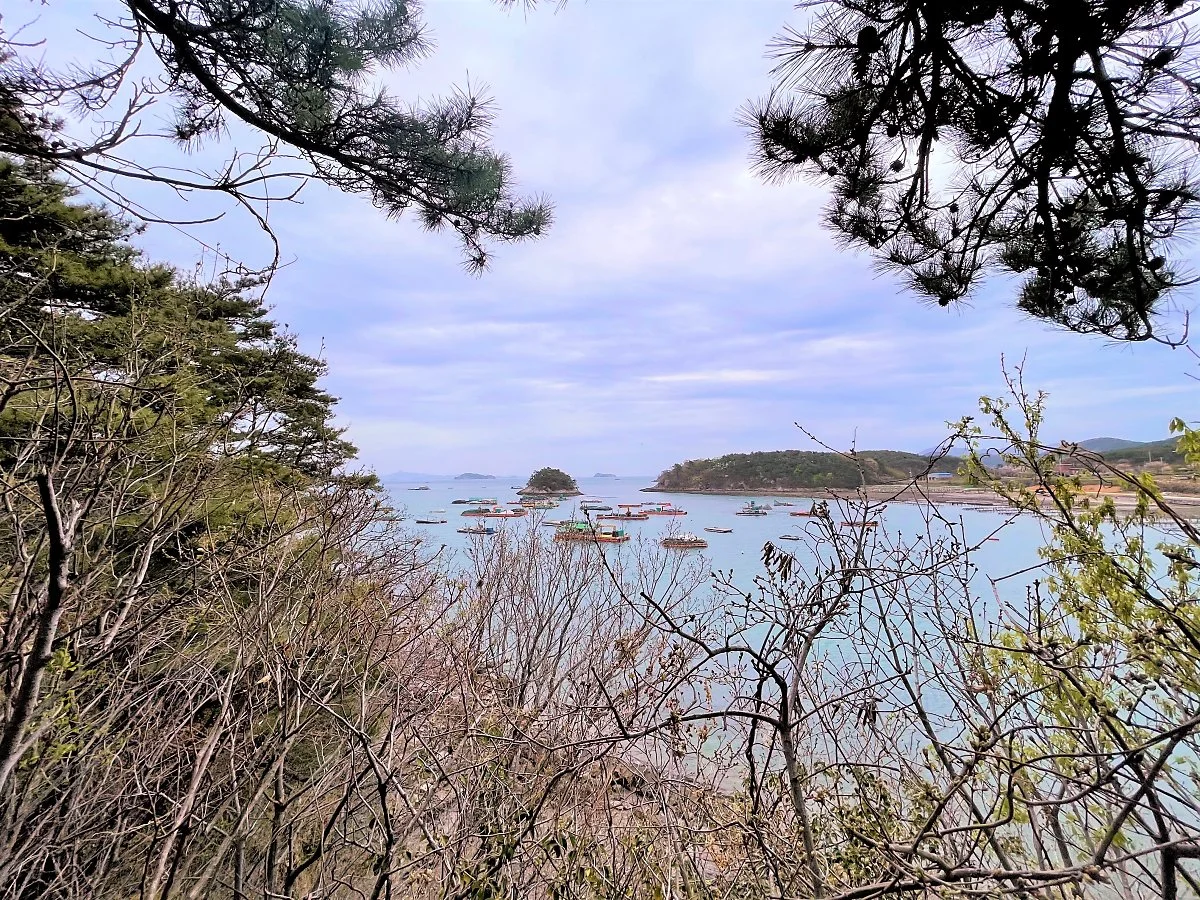 %EA%B3%A0%EC%84%B1_%EC%86%94%EC%84%AC_%282%29.jpg?type=w1200