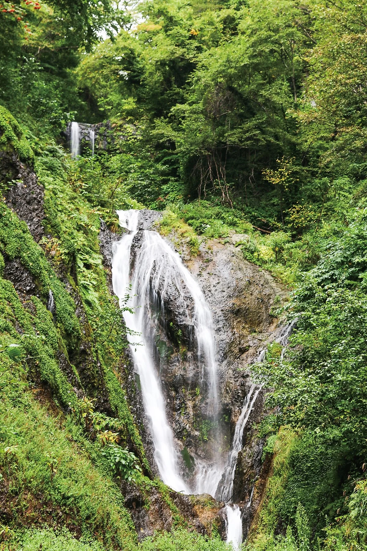 %EB%B4%89%EB%9E%98%ED%8F%AD%ED%8F%AC.jpg?type=w1200