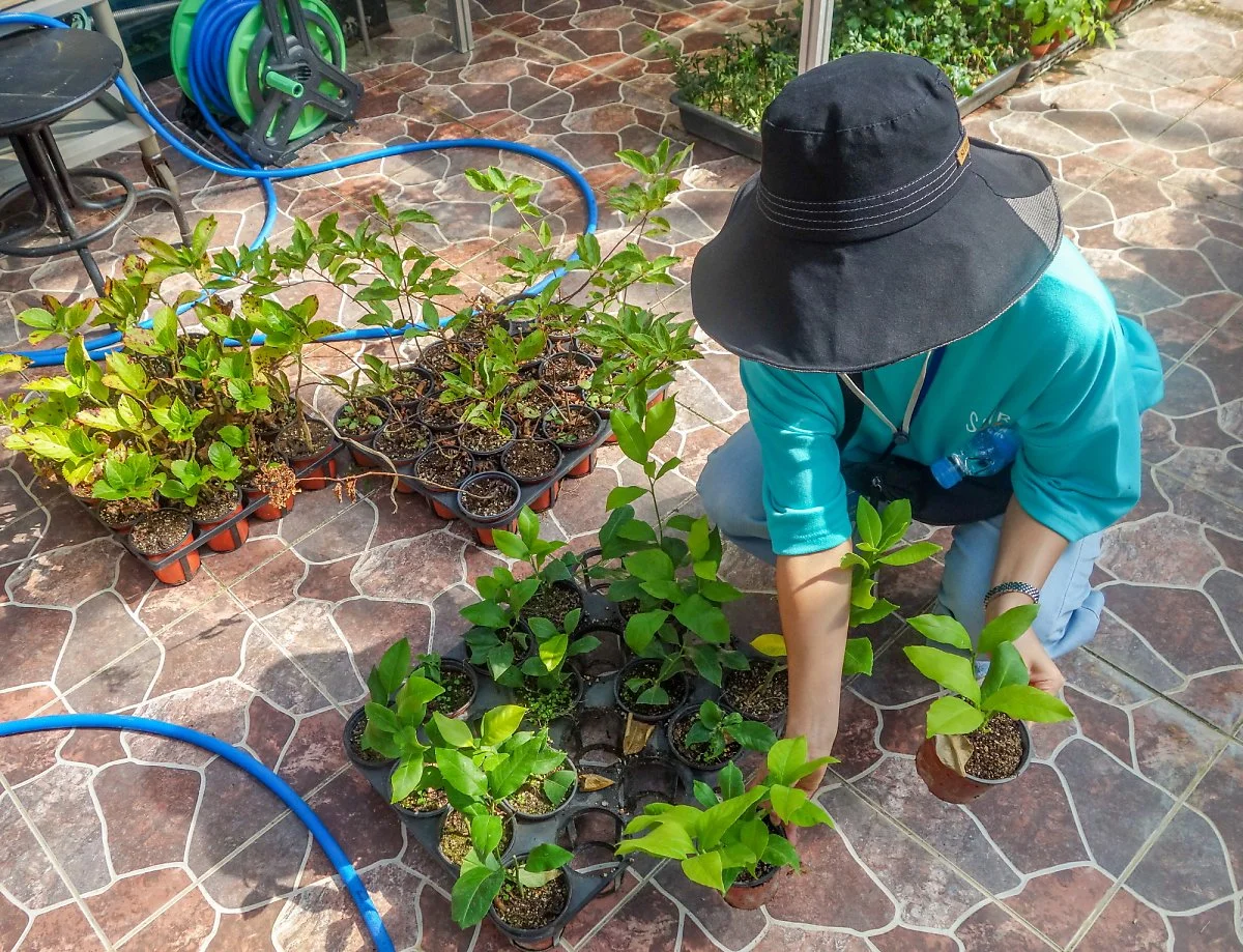 %EC%8B%B1%EA%B7%B8%EB%9E%AD%EC%9D%B4_%EC%97%90%EC%BD%94%EC%A0%95%EC%9B%905.jpg?type=w1200