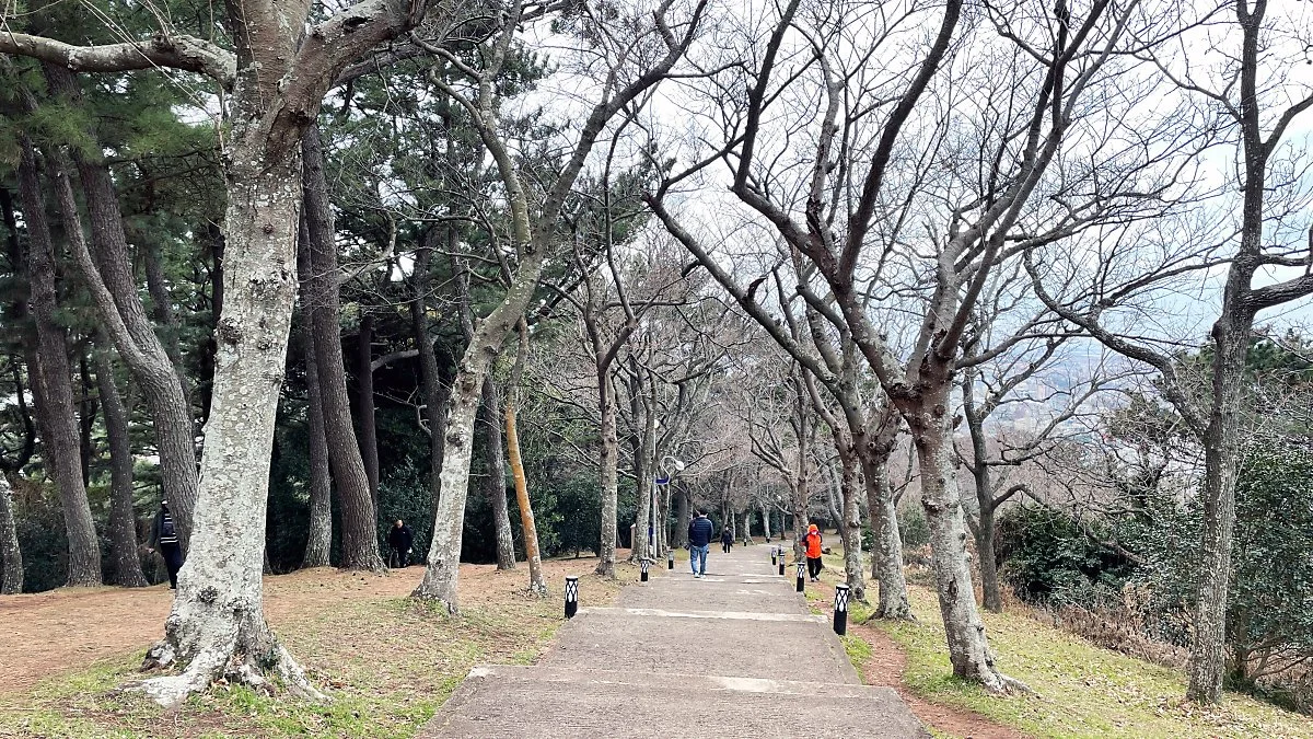 %EC%82%AC%EB%9D%BC%EB%B4%89_%EC%A0%95%EC%9D%80%EC%A3%BC_%281%29.JPG?type=w1200