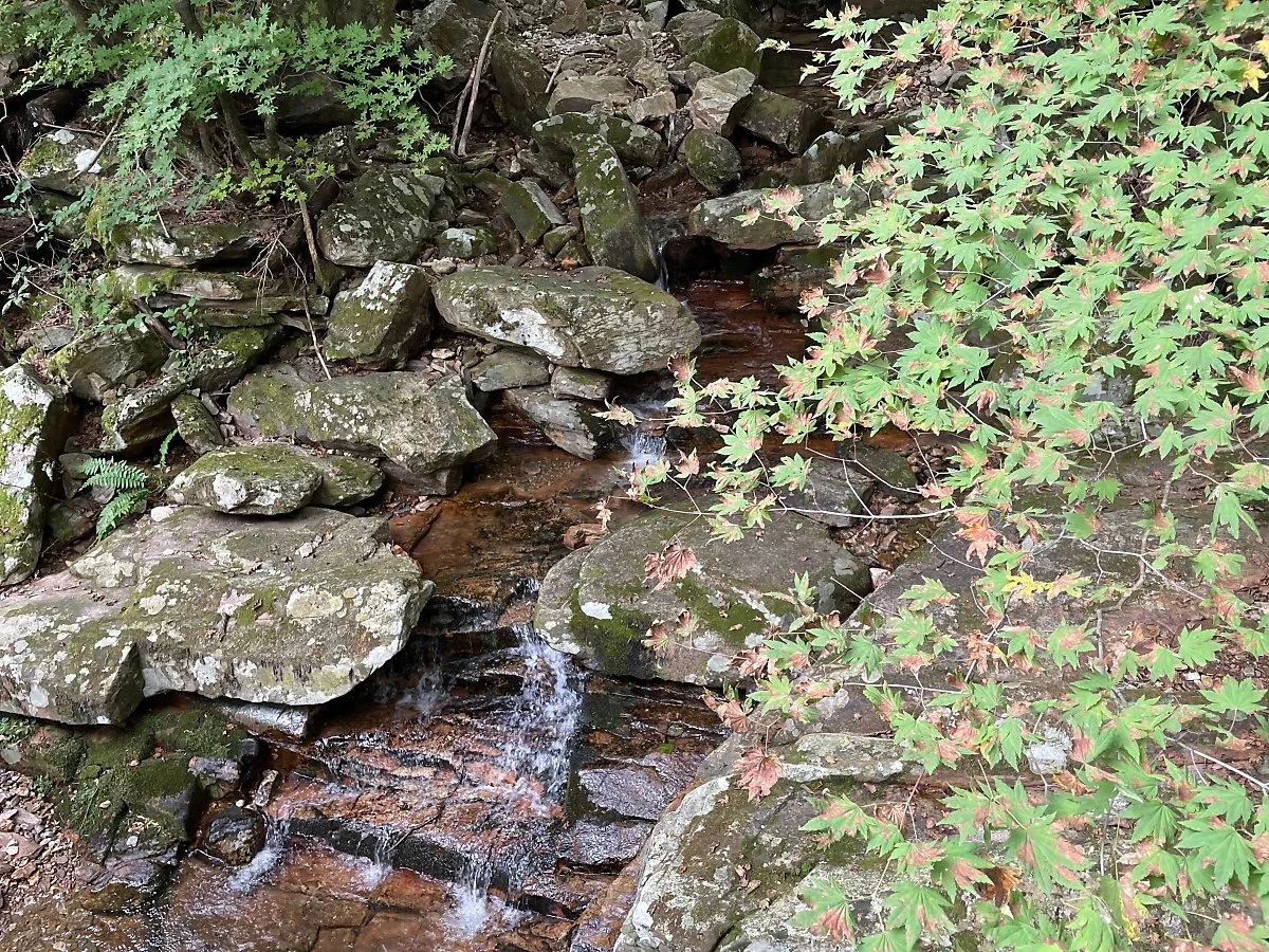 %EC%A0%9C%EC%B2%9C_%EC%B9%98%EC%9C%A0%EC%9D%98%EC%88%B2_%287%29.JPG?type=w1200