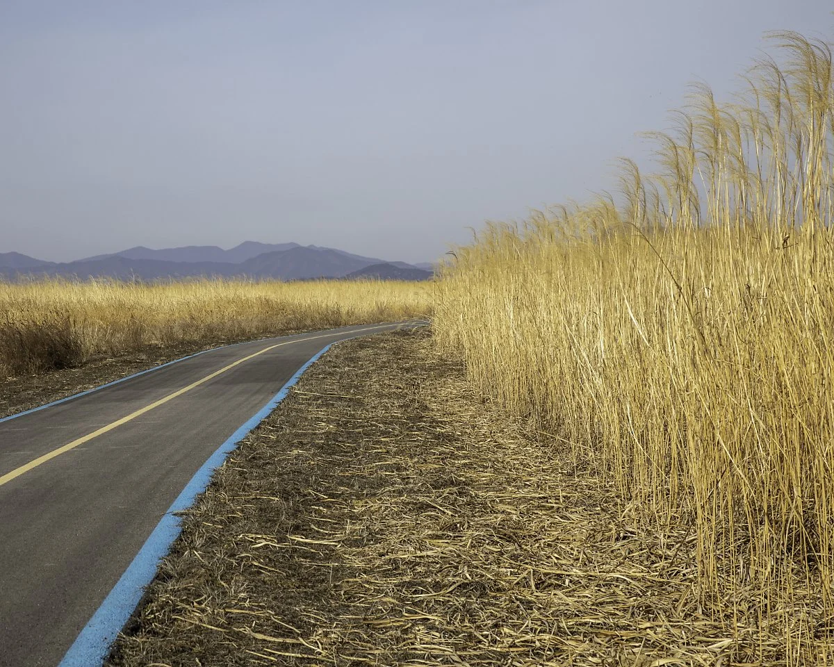 4p_%281%29.jpg?type=w1200