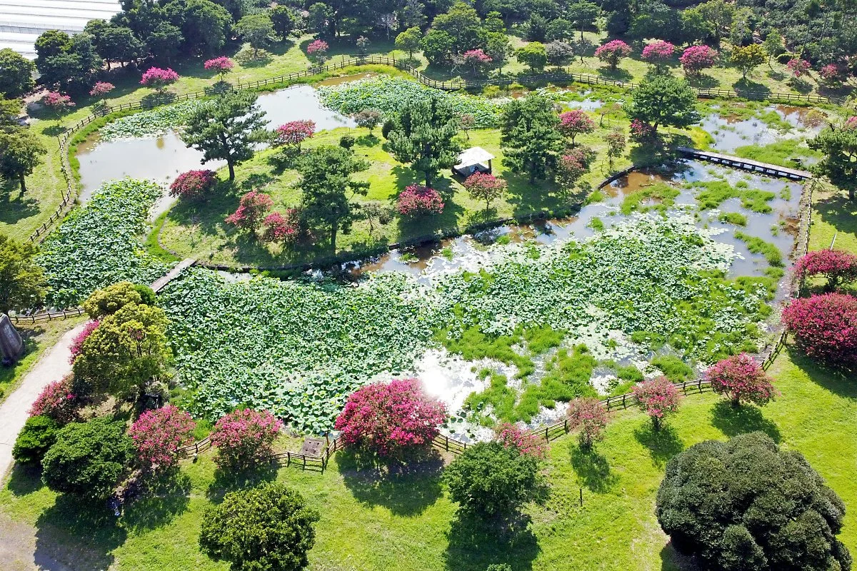 %EB%B2%95%ED%99%94%EC%82%AC_%284%29.JPG?type=w1200