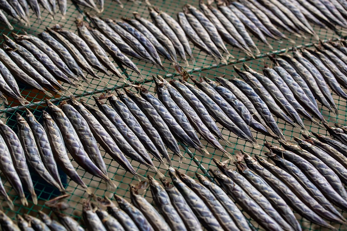 %EC%A3%BC%EB%AC%B8%EC%A7%84%ED%95%AD%EA%B5%AC.jpg?type=w1200