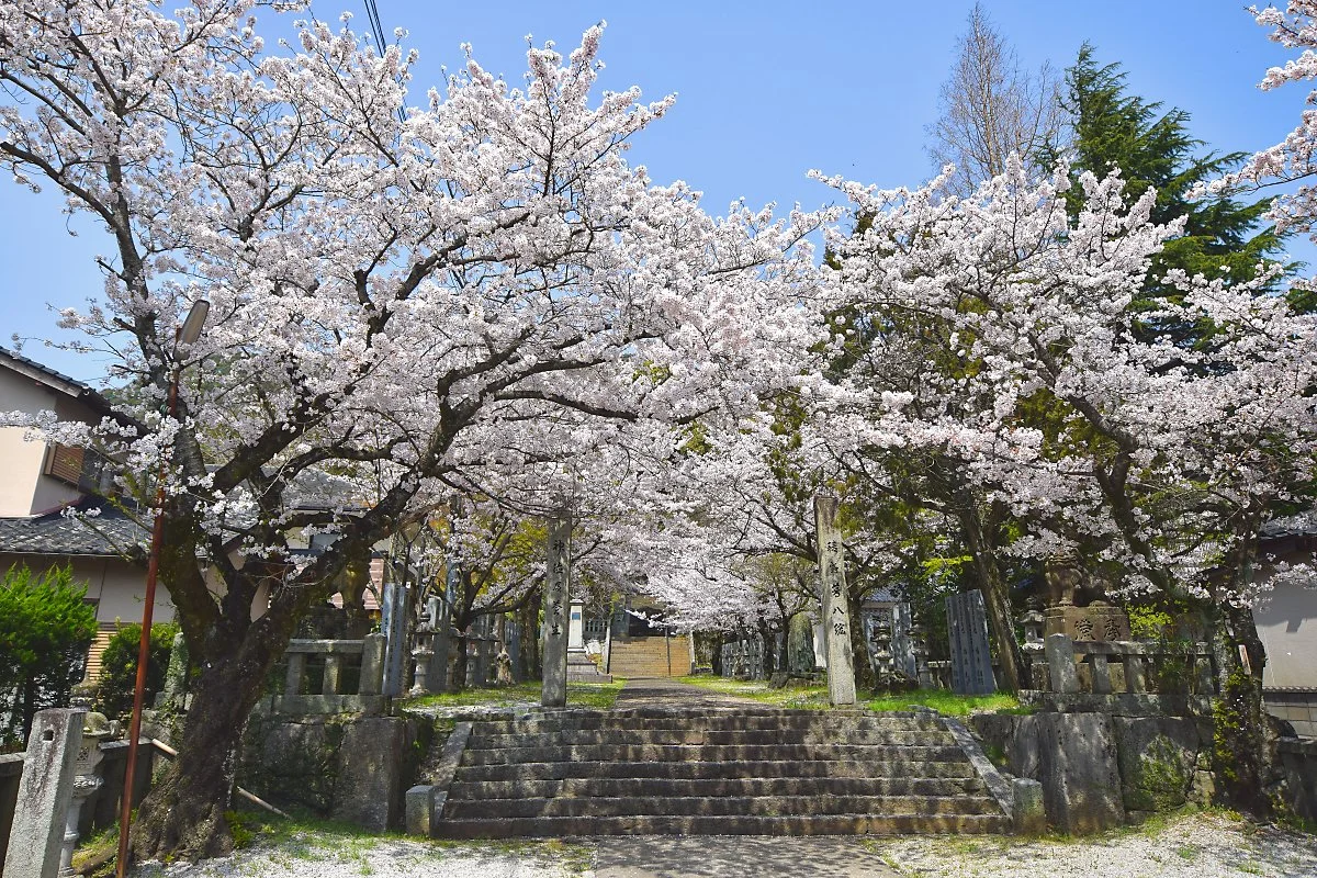 %EC%A7%80%EC%BF%A0%ED%98%B8%E3%83%BB%EA%B0%80%EC%99%80%EB%9D%BC_%EC%BD%94%EC%8A%A4.jpg?type=w1200