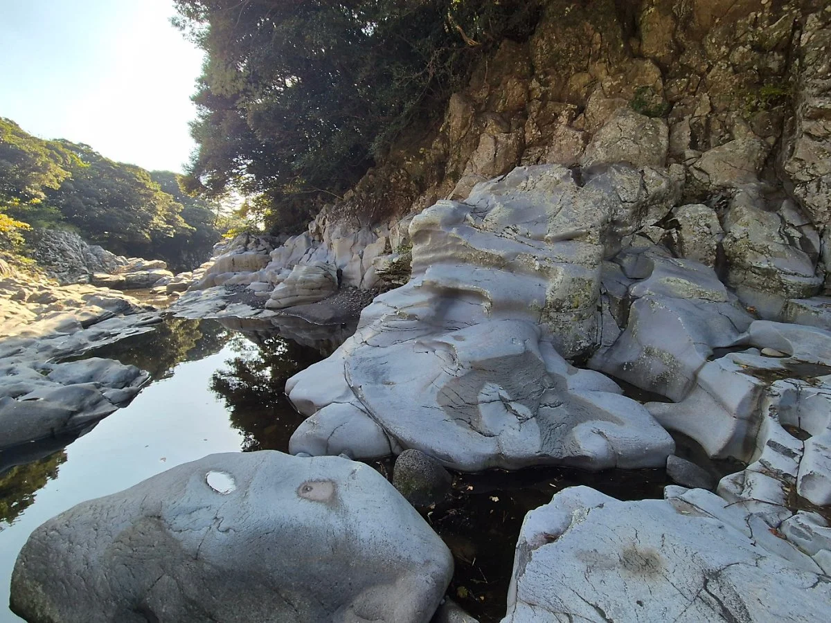 %ED%9A%A8%EB%8F%88%EC%B2%9C_%EB%82%A8%EB%82%B4%EC%86%8C.jpg?type=w1200