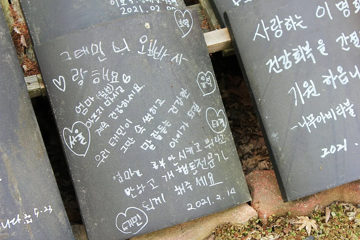 %EA%B0%95%EC%B2%9C%EC%82%B0_%284%29.JPG?type=w1200