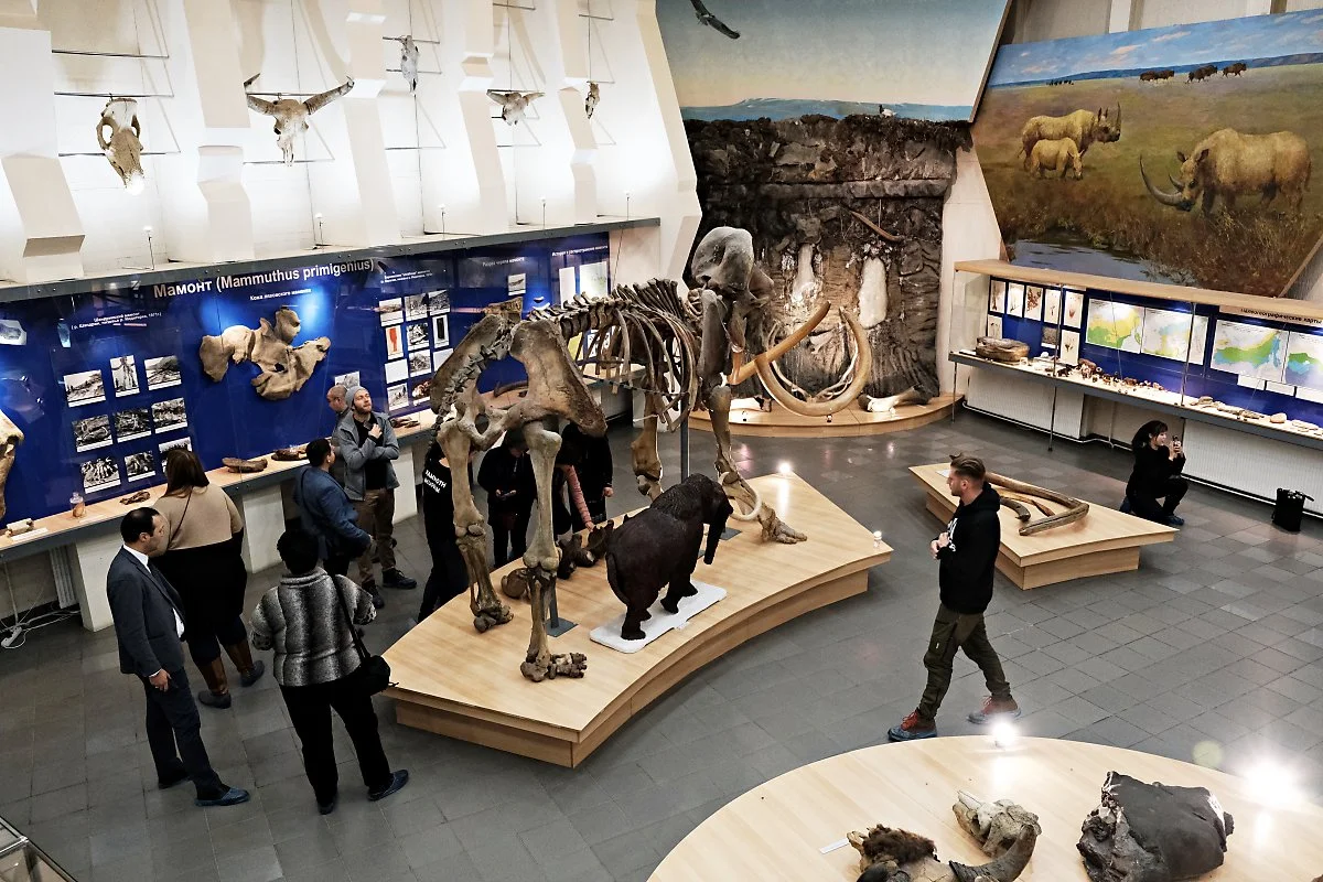 %EB%A7%98%EB%AA%A8%EC%8A%A4_%EB%B0%95%EB%AC%BC%EA%B4%80__%281%29.JPG?type=w1200