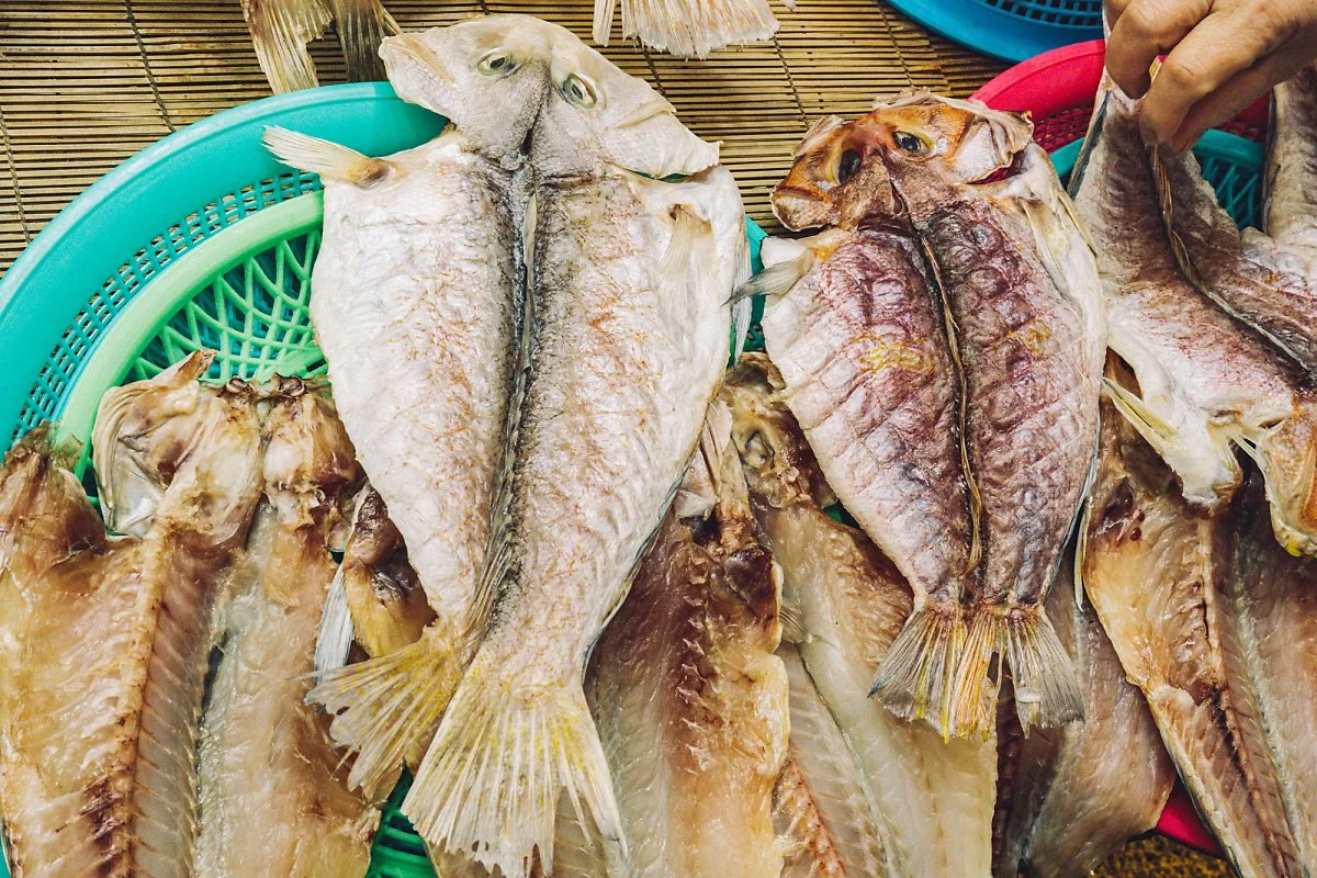 11._%EC%99%B8%EA%B4%80%EC%9C%BC%EB%A1%9C%EB%8A%94_%EC%96%B8%EB%9C%BB_%EA%B5%AC%EB%B6%84%EC%9D%B4%EA%B0%80%EC%A7%80%EC%95%8A%EB%8A%94_%EC%98%A5%EB%8F%94%EA%B3%BC_%EC%98%A5%EB%91%90%EC%96%B4.jpg?type=w1200