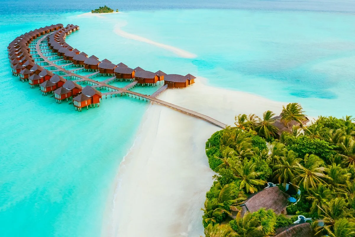 %EB%AA%B0%EB%94%94%EB%B8%8C_%EB%93%9C%EB%A1%A0_-2.jpg?type=w1200