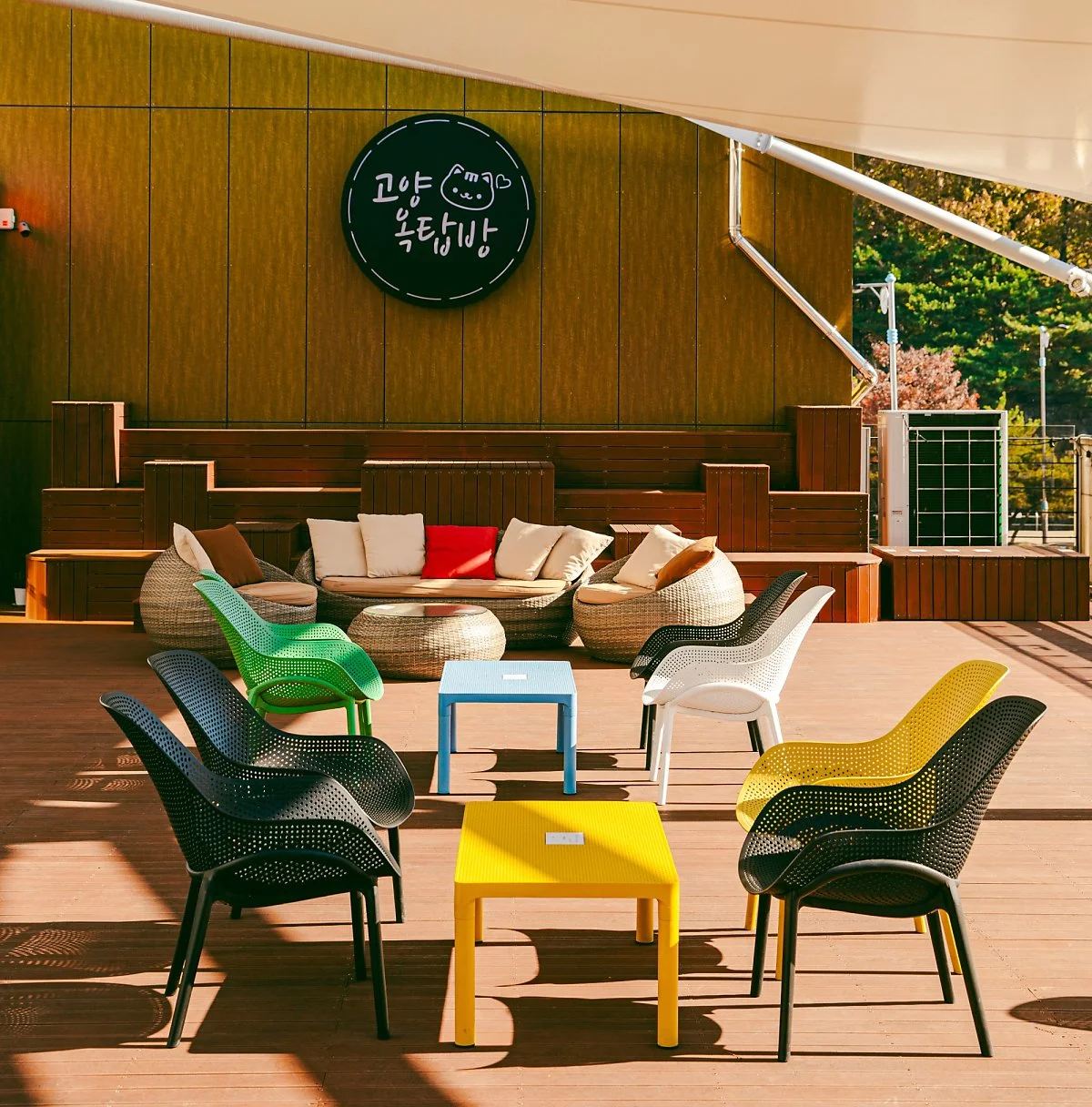 image_9363126981672122990922.jpg?type=w1200