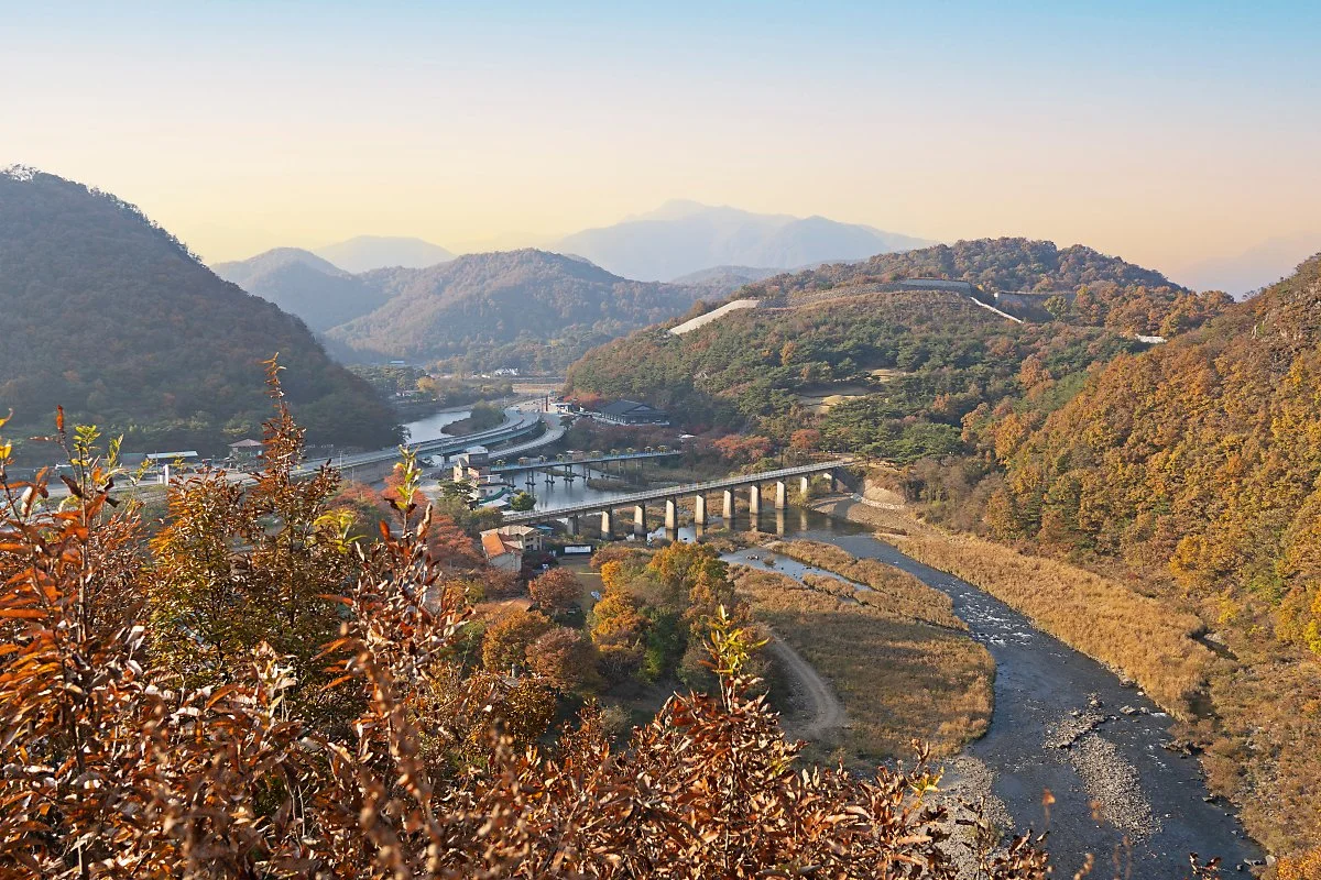 %EC%82%AC%EC%A7%844_%ED%86%A0%EB%81%BC%EB%B9%84%EB%A6%AC%EC%97%90%EC%84%9C_%EB%B3%B8_%EA%B3%A0%EB%AA%A8%EC%82%B0%EC%84%B1_%EC%9D%BC%EB%8C%80.jpg?type=w1200