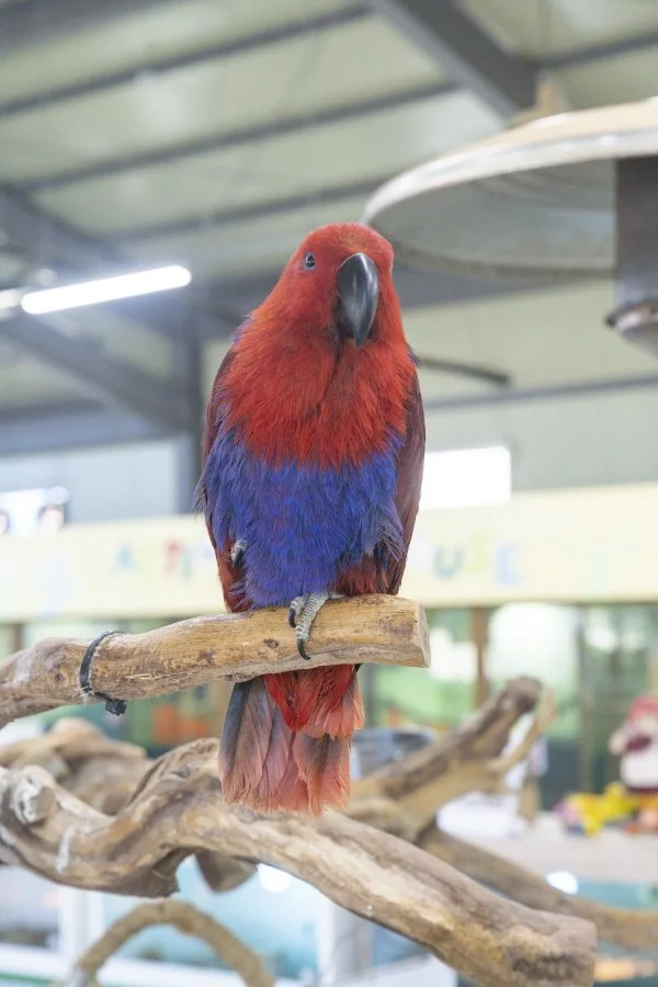 %ED%81%AC%EA%B8%B0%EB%B3%80%ED%99%98%EC%9D%B5%EC%82%B0_%2811%29.jpg?type=w1200