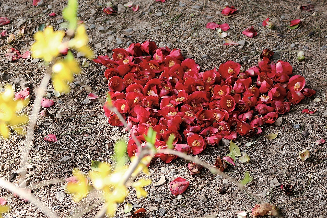 울산_대왕암공원 (1).JPG