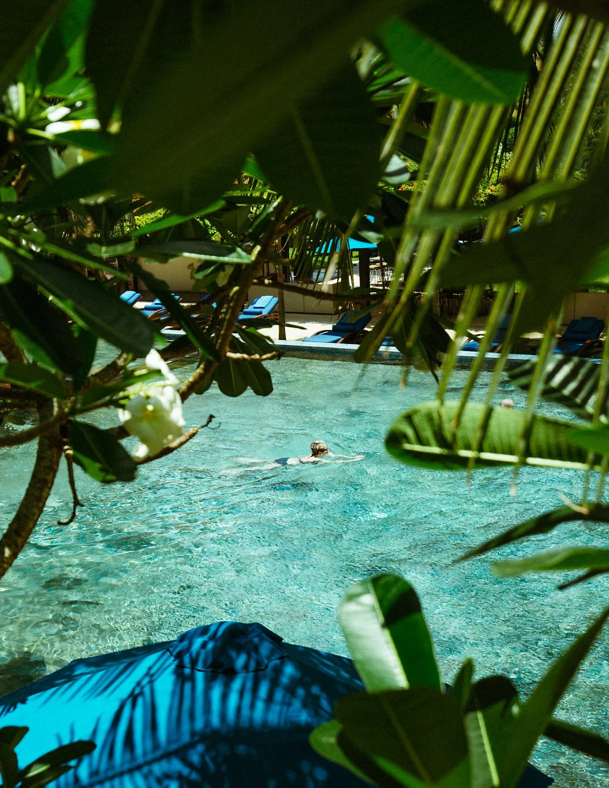 KHS_0418.jpg?type=w1200