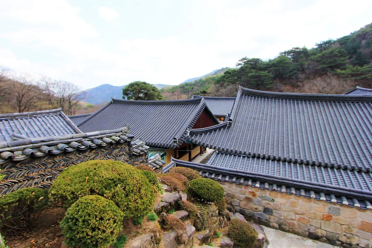 02_%EC%84%9D%EB%82%A8%EC%82%AC_%285%29.JPG?type=w1200