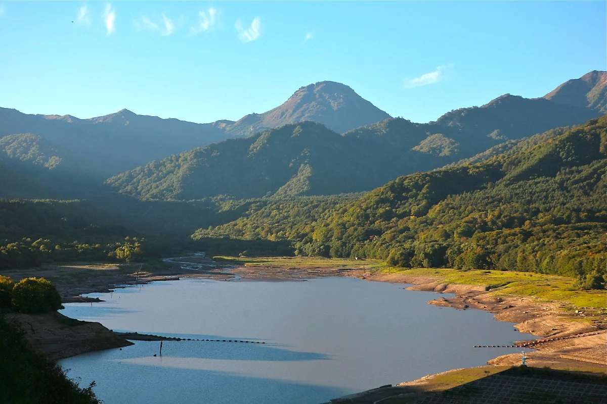 %EC%82%AC%EC%82%AC%EA%B0%80%EB%AF%B8%EB%84%A4%EA%B3%A0%EC%9B%903.jpg?type=w1200