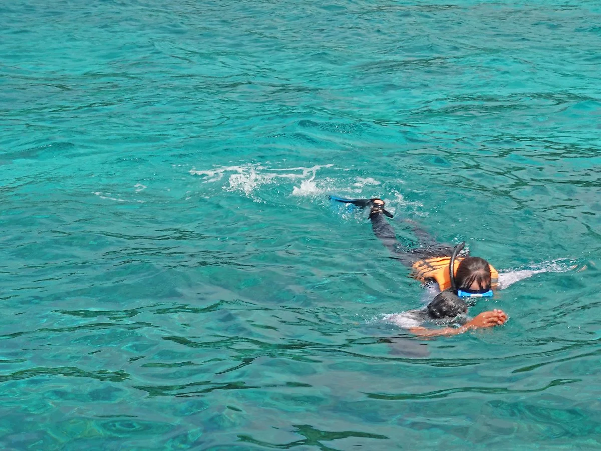 %ED%98%B8%ED%95%91_%ED%88%AC%EC%96%B43_%EC%9D%BC%EB%A6%AC%EA%B0%84_%EB%B9%84%EC%B9%98_%EC%8A%A4%EB%85%B8%ED%81%B4%EB%A7%81.jpg?type=w1200