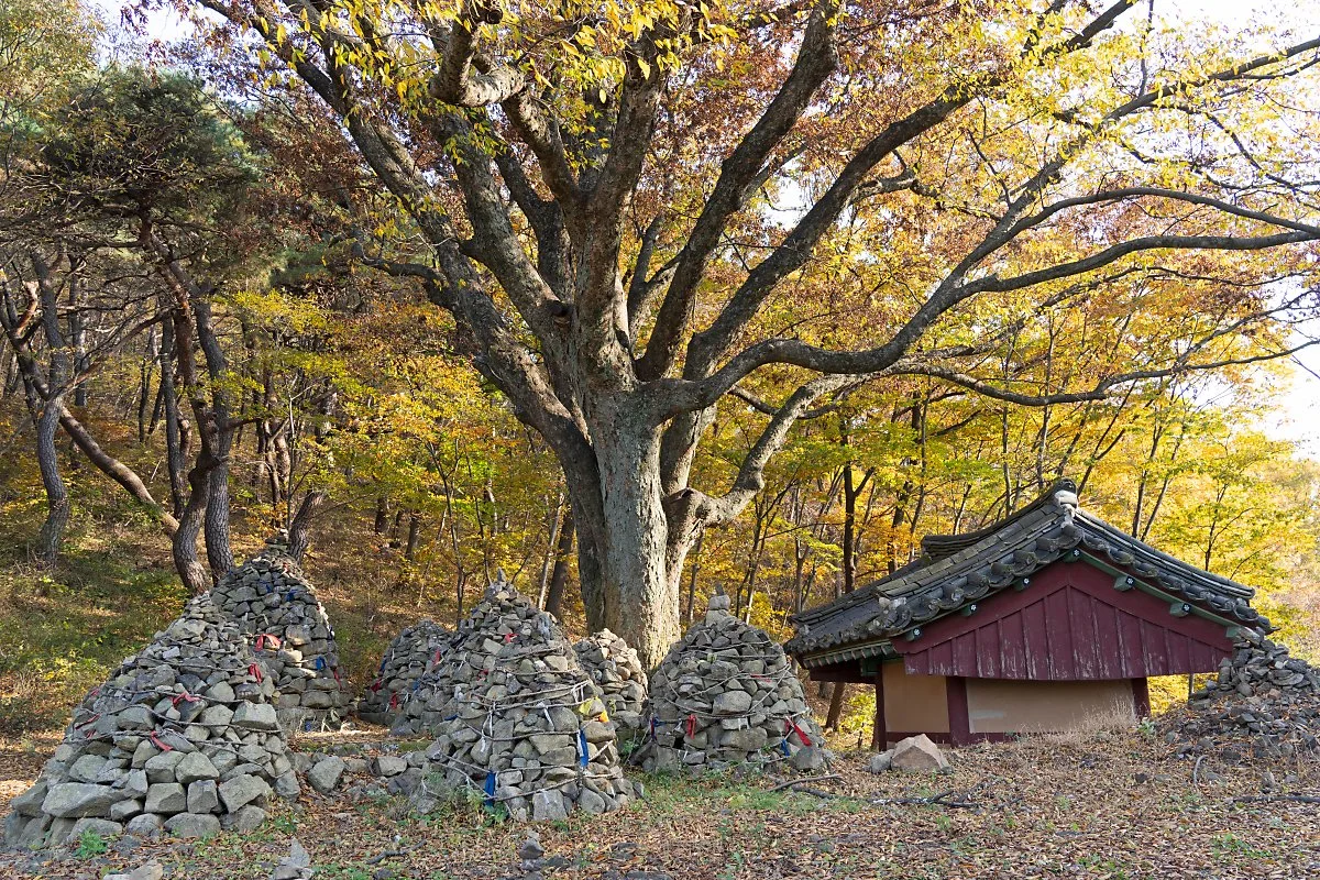 %EC%82%AC%EC%A7%841_%EC%84%B1%ED%99%A9%EB%8B%B9.jpg?type=w1200