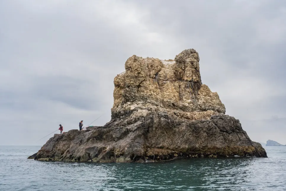 %EB%82%9A%EC%8B%9C%EA%BE%BC_(3).jpg?type=w966