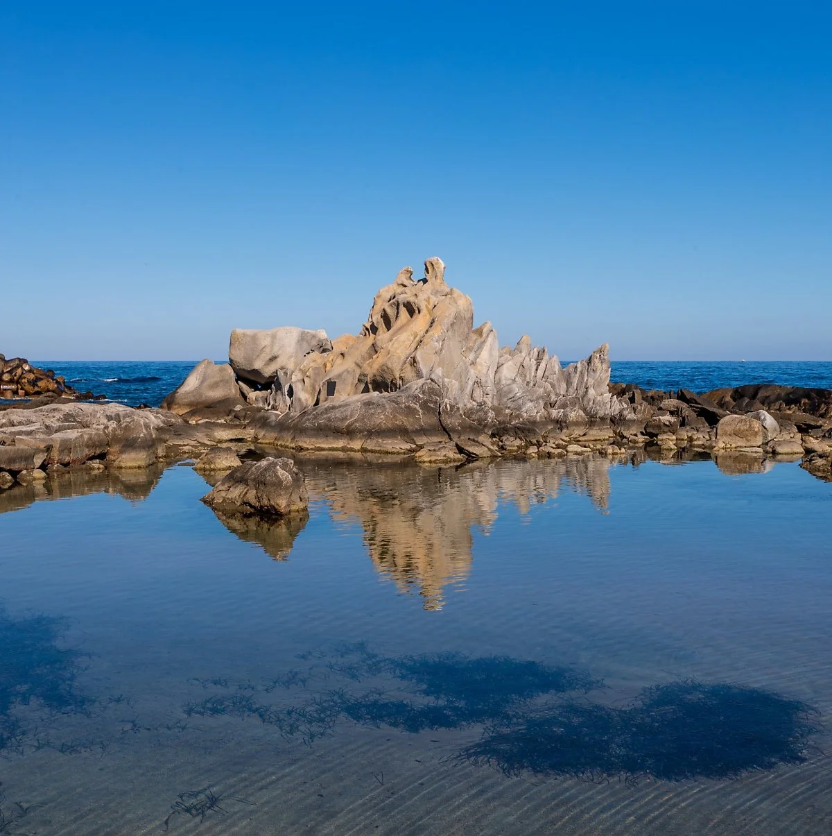 image_2963121171701756487108.jpg?type=w1200