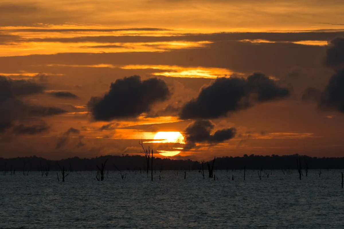 DSC02062.jpg?type=w1200