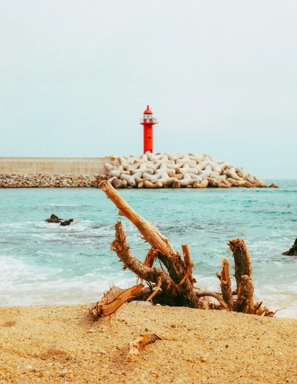 %EC%8B%A0%EB%82%A8_%ED%95%B4%EC%88%98%EC%9A%95%EC%9E%A5_%288%29.jpg?type=w1200&type=w1200