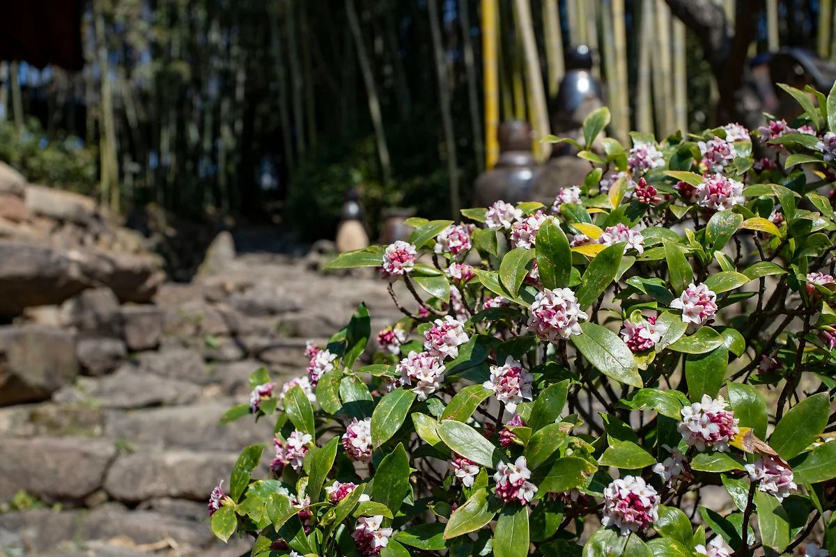 %EA%B5%AC%EB%A1%80_%EC%8C%8D%EC%82%B0%EC%9E%AC_%EC%B2%9C%EB%A6%AC%ED%96%A5.jpg?type=w1200