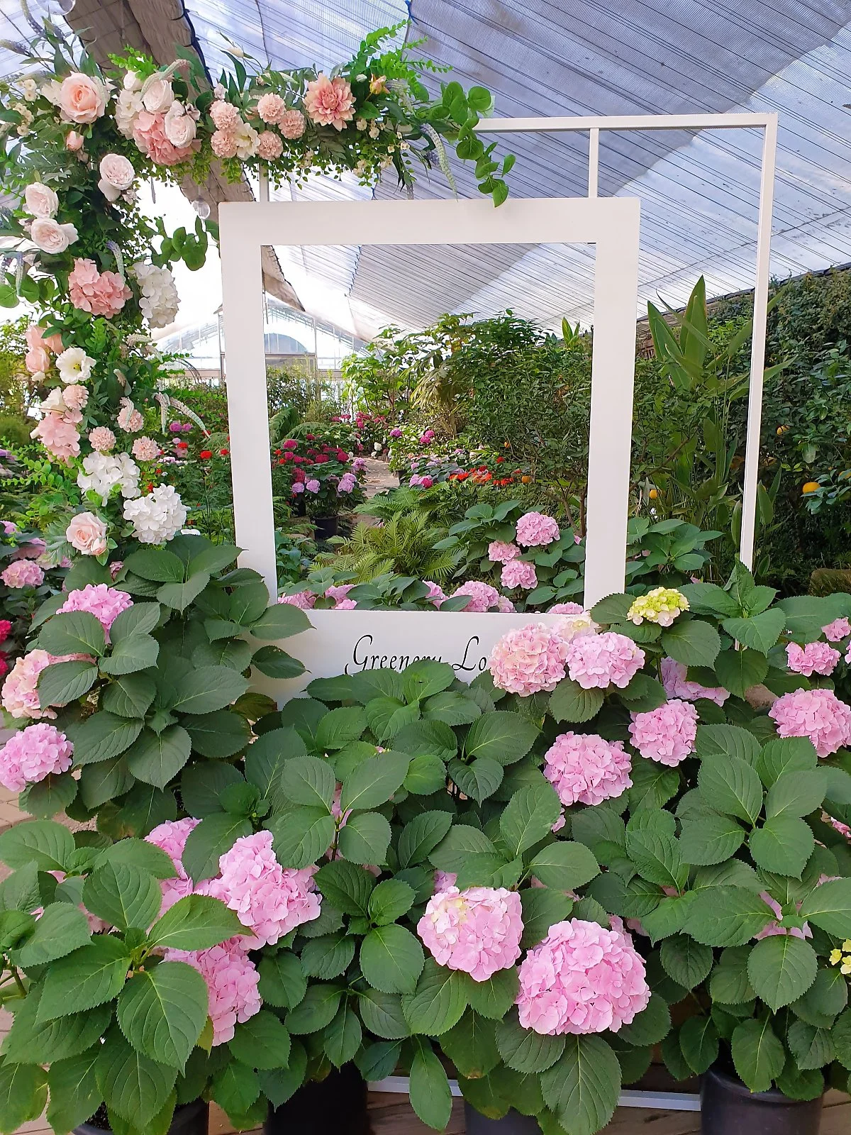 01%ED%8F%89%EA%B0%95%EB%9E%9C%EB%93%9C_%281%29.jpg?type=w1200