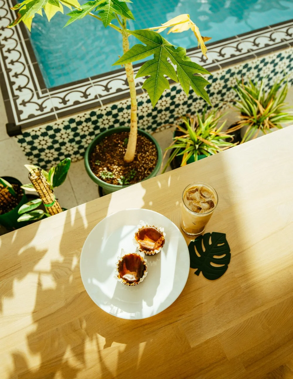 %EC%BD%94%EC%BD%94%EB%84%9B_%EA%B7%B8%EB%A3%A8%EB%B8%8C_%281%29.JPG?type=w1200