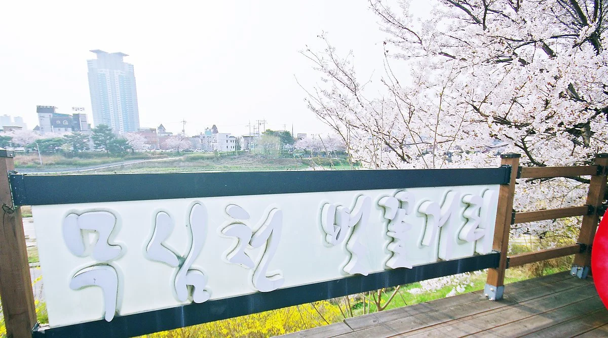 %EB%AC%B4%EC%8B%AC%EC%B2%9C_%EC%A0%84%EB%A7%9D%EB%8D%B0%ED%81%AC.JPG?type=w1200