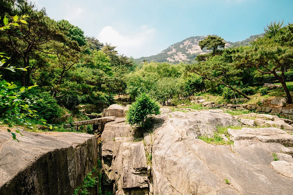 %ED%81%AC%EA%B8%B0%EB%B3%80%ED%99%98%EC%82%AC%EC%A7%84_-12.jpg?type=w1200