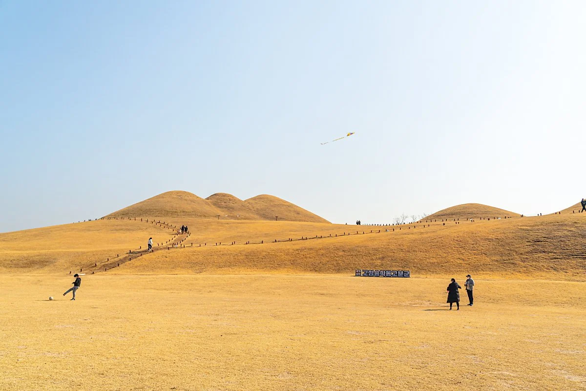 %EA%B3%A0%EC%84%B1_%EB%8F%85%EC%88%98%EB%A6%AC_033.jpg?type=w1200