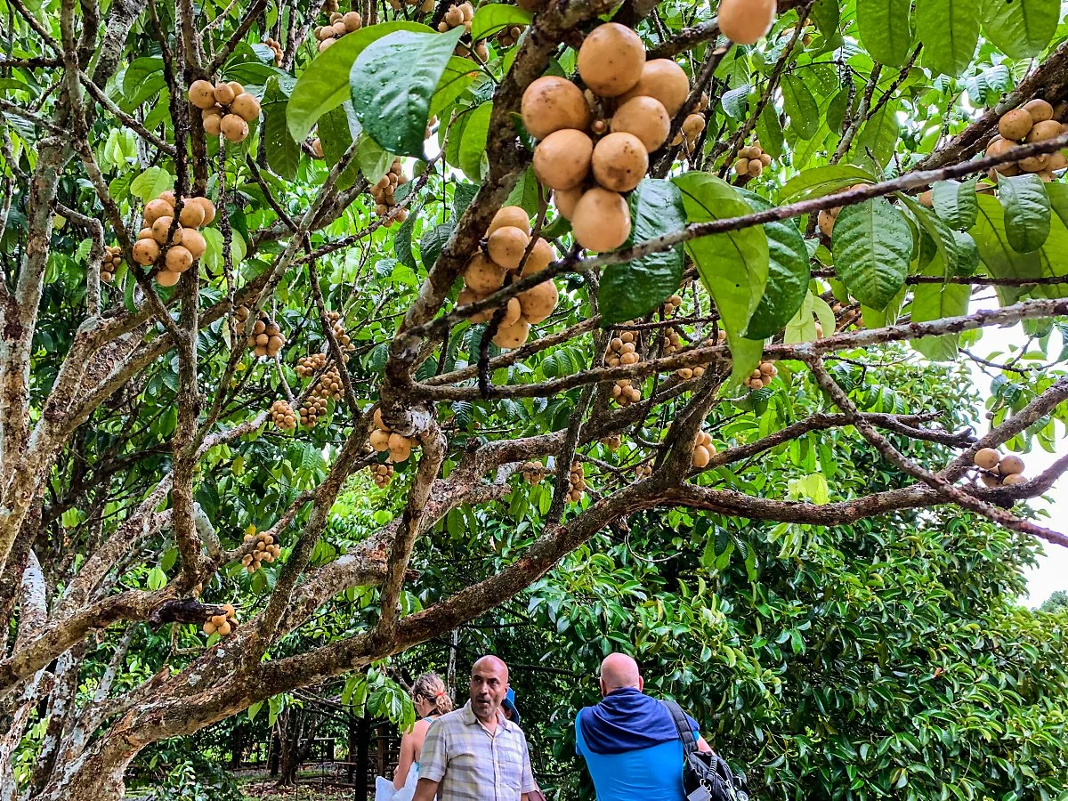 %EC%B0%AC%ED%83%80%EB%B6%80%EB%A6%AC_%EA%B3%BC%EC%9D%BC_%287%29.jpg?type=w1200