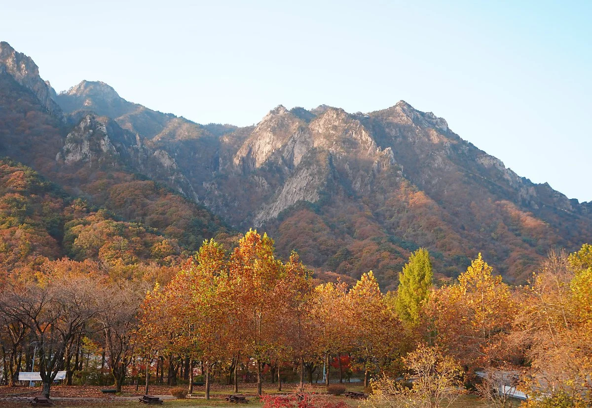 %EC%84%A4%EC%95%85%EC%82%B0.jpg?type=w1200