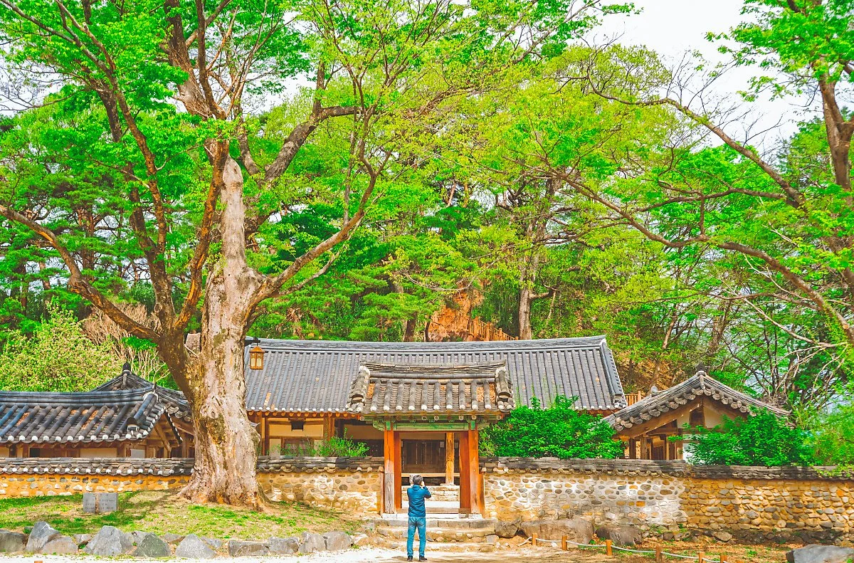 %EB%8F%84%EB%B9%84%EB%9D%BC_%ED%9B%84%EB%B3%B4_%281%29.jpg?type=w1200