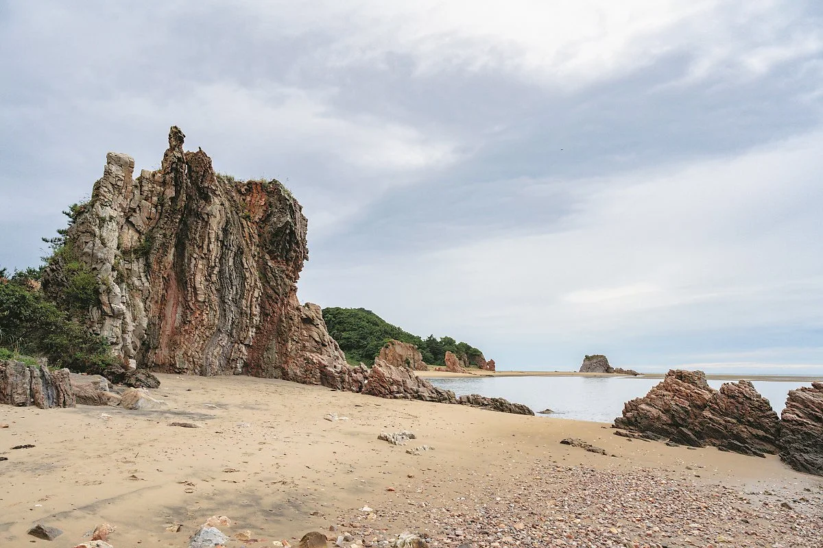 %EB%8C%80%EC%B2%AD%EB%8F%84_%2826%29%EB%82%98%EC%9D%B4%ED%85%8C_%EB%B0%94%EC%9C%84.jpg?type=w1200