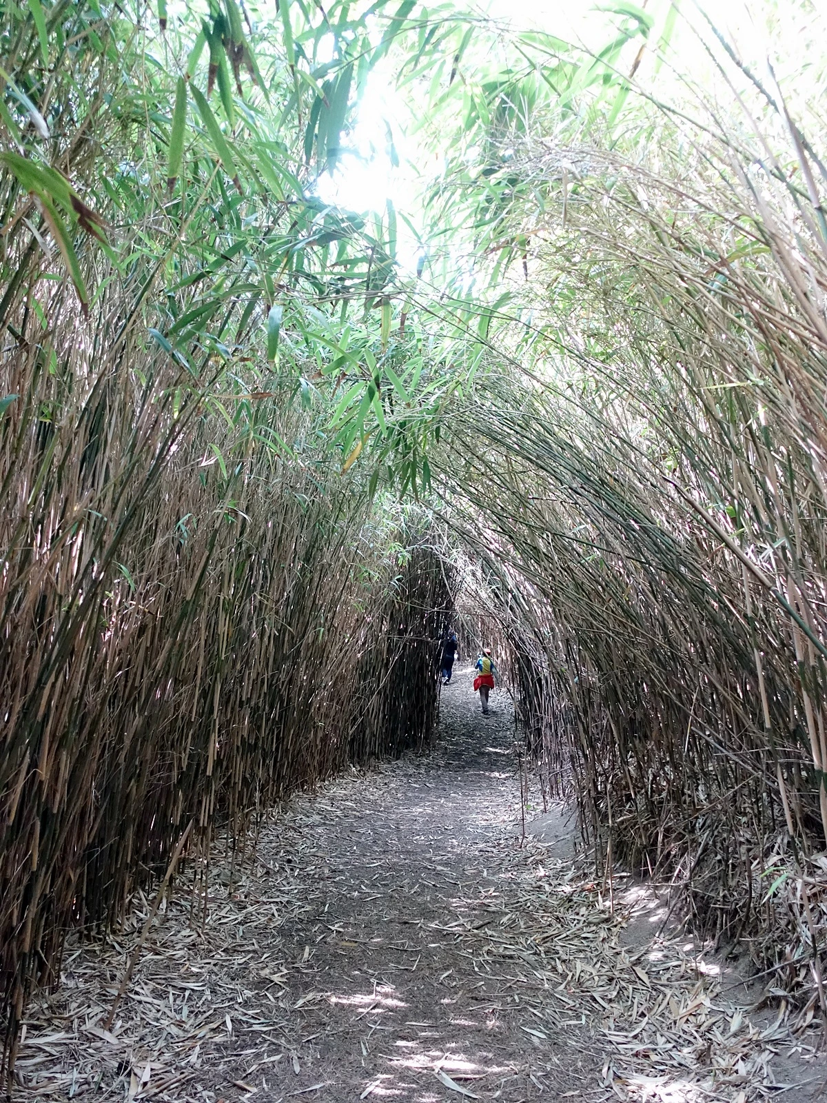 죽도풍경 (3).JPG