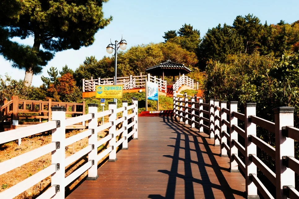 %EC%88%98%EB%A1%9C%EB%B6%80%EC%9D%B8%ED%97%8C%ED%99%94%EA%B3%B5%EC%9B%90_(1).jpg?type=w966