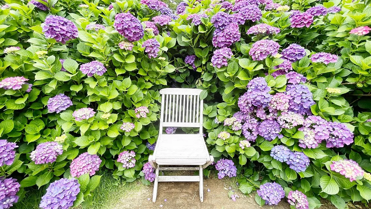 %EB%A7%88%EB%85%B8%EB%A5%B4%EB%B8%94%EB%9E%91_%287%29.JPG?type=w1200