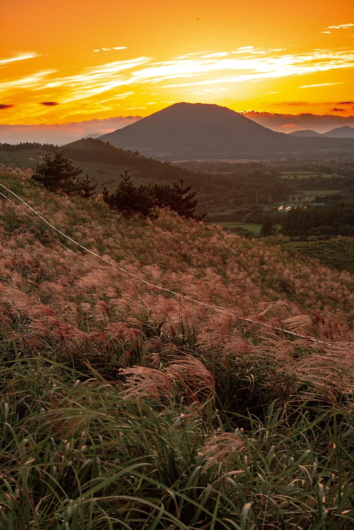 %EC%9A%A9%EB%88%88%EC%9D%B4%EC%98%A4%EB%A6%84_%EB%85%B8%EC%9D%84_%285%29.jpg?type=w1200