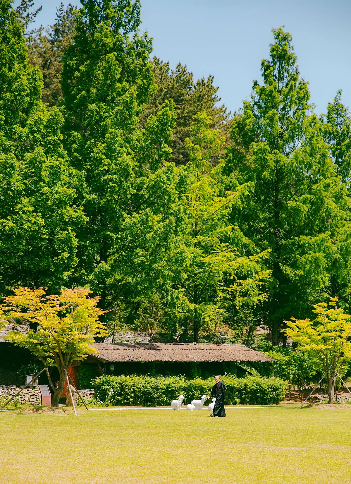 d_%EC%B2%9C%EC%A3%BC%EA%B5%90_%EC%A0%84%EC%A3%BC%EA%B5%90%EA%B5%AC_%EC%B9%98%EB%AA%85%EC%9E%90%EC%82%B0_%EC%84%B1%EC%A7%80.jpg?type=w1200