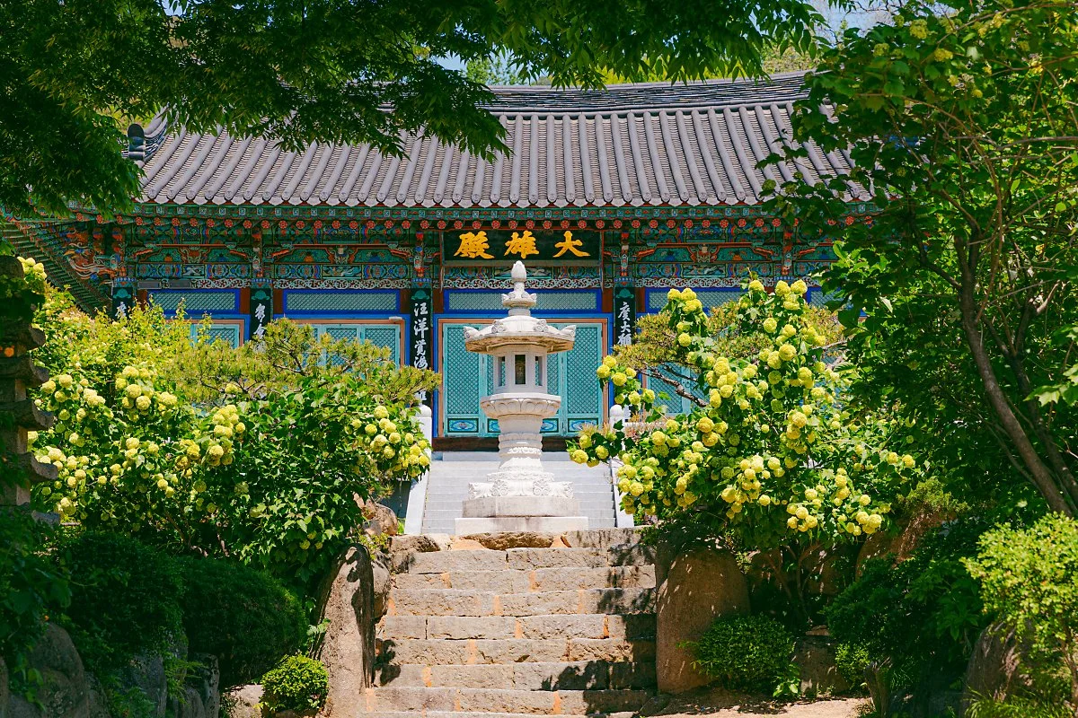 _86A6523.jpg?type=w1200